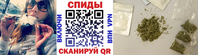 Купить  Яблоновский  БУТИРАТ буратино 