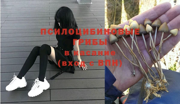 гашик Киреевск