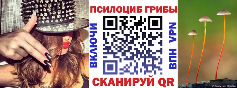 Купить где  Яблоновский  Псилоцибиновые грибы Psilocybe 